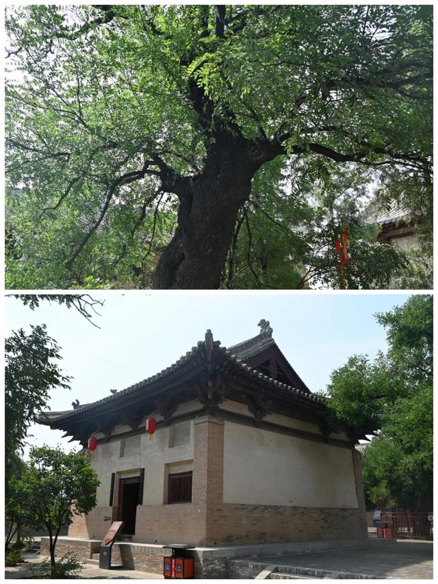 探秘古寺 | 白台寺的千年遺夢