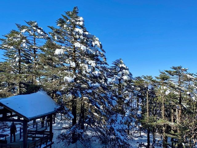 昆明轎子雪山——冰雪仙境。