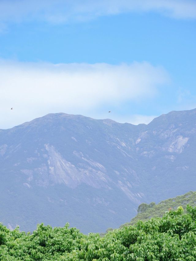 深圳周邊1小時直達—惠州徐田古村|||惠州博羅的徐田古村，深圳/東莞出發自駕只需1小時哦！ 地點定。