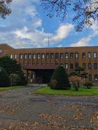 札幌北海道大學楓紅景色。