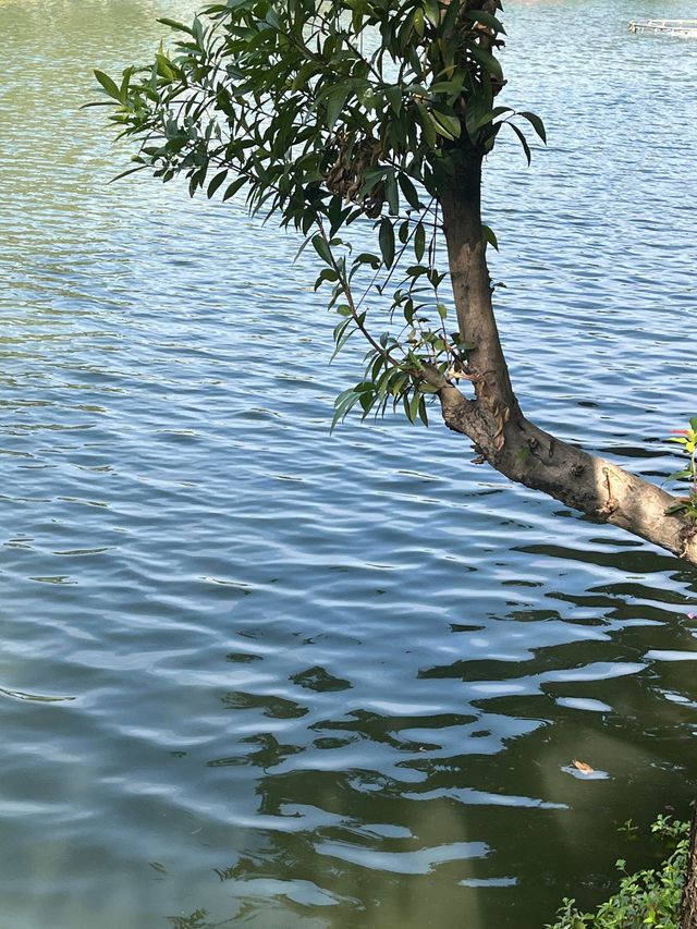 廣州越秀公園  值得你去的地方