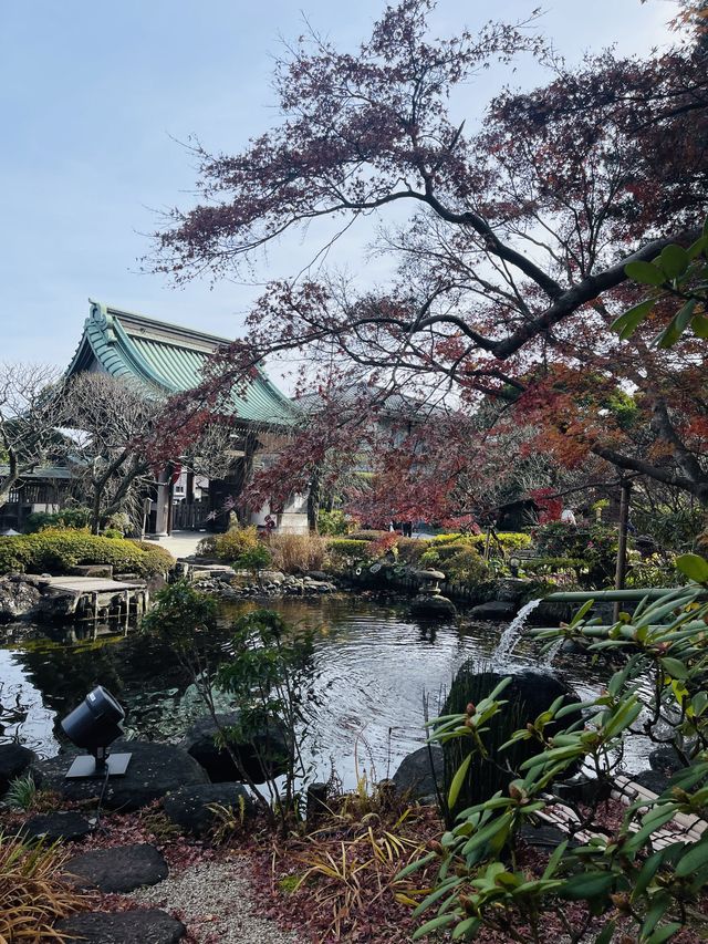 日本·神奈川鎌倉