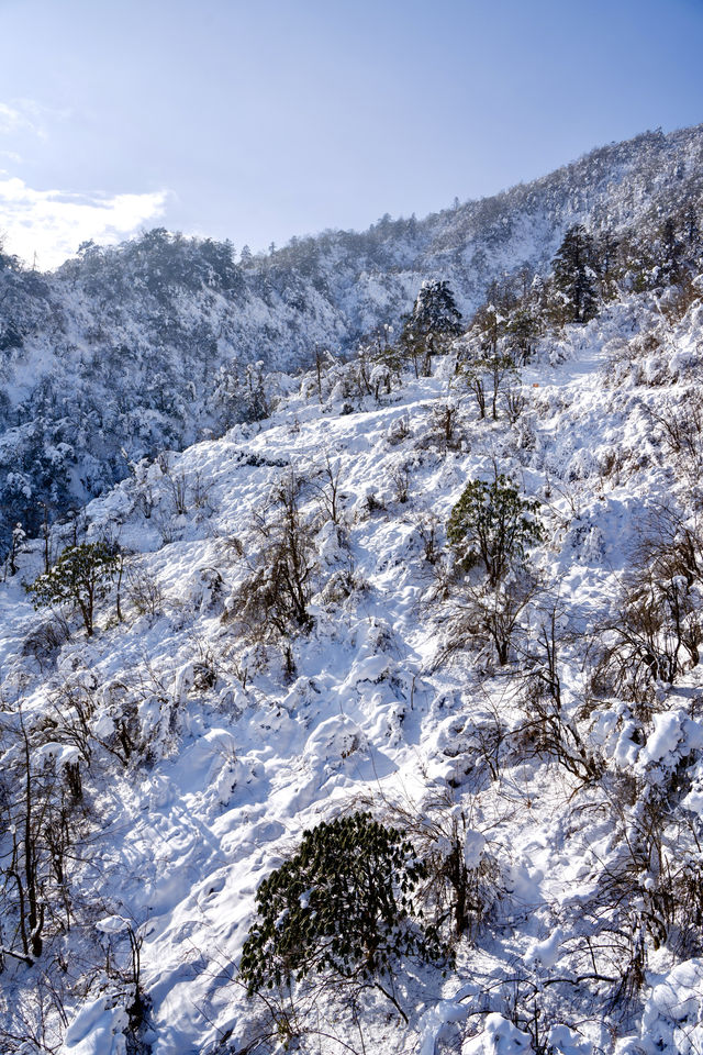 成都周邊雪景勝地 | 西嶺雪山—— 冬日幻想之旅