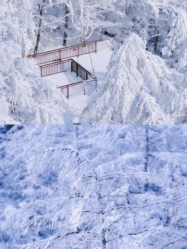 青島冬遊嶗山玩法銀裝素裹的仙境之旅