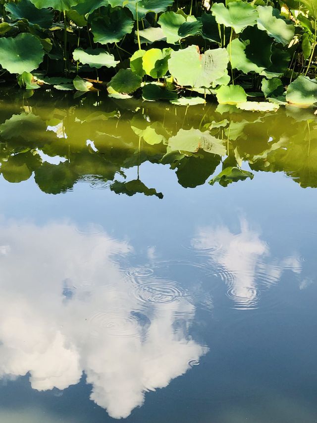 雲南昆明-大理市-麗江老友遊攻略不踩雷玩法