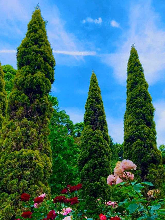 A garden in Atami