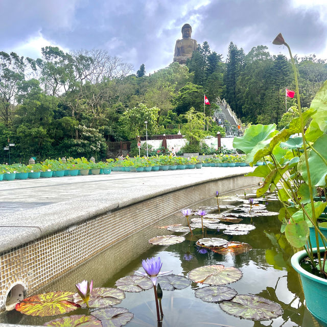 Don’t miss the visit to Big Buddha and the amazing crystal cable car