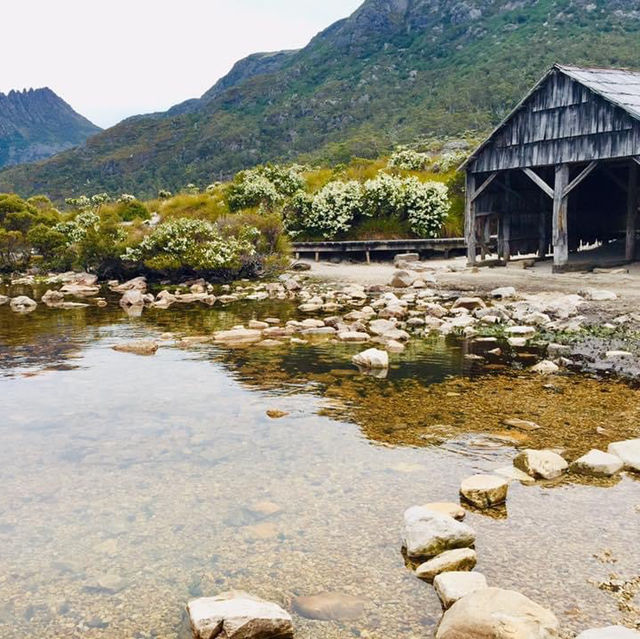 Nature's Nirvana: Cradle Mountain's Enchanting Escape