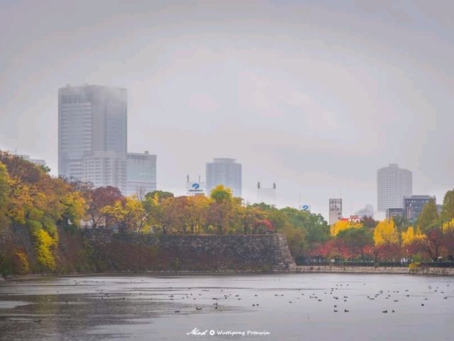 Osaka castle