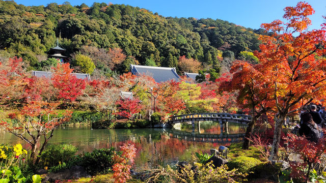 京都永觀堂 - 欣賞紅葉魅力之勝地