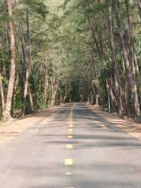 หาดสั้น จ.ตรัง พิกัดถ่ายรูปกับ ท่อนไม้ริมหาด