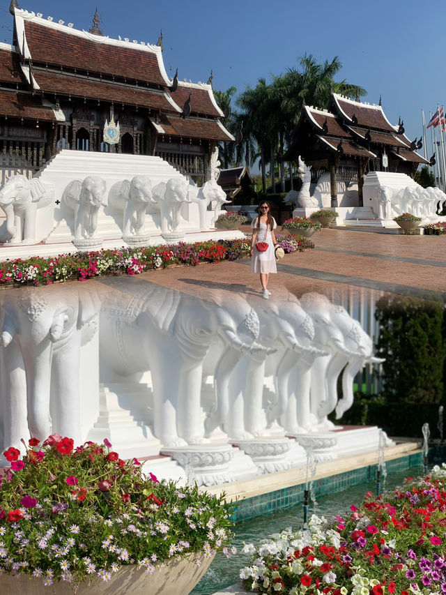 A Spring Stroll in Royal Rajapruek Park