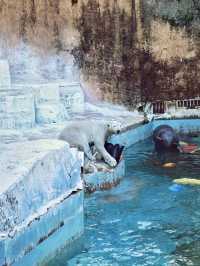 綠野微光：天王寺動物園的自然樂章