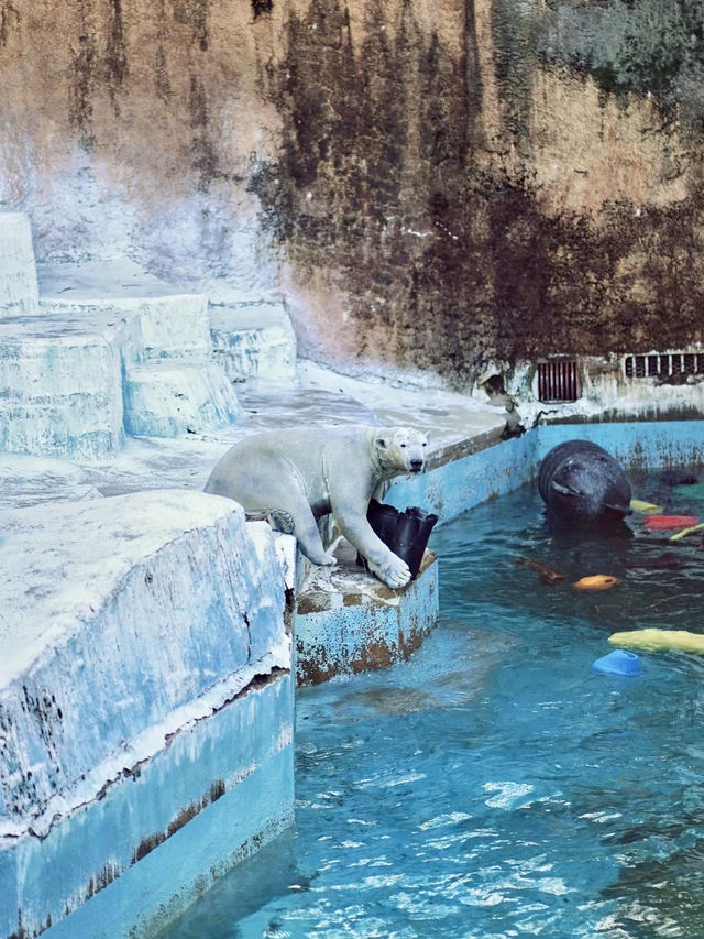 綠野微光：天王寺動物園的自然樂章