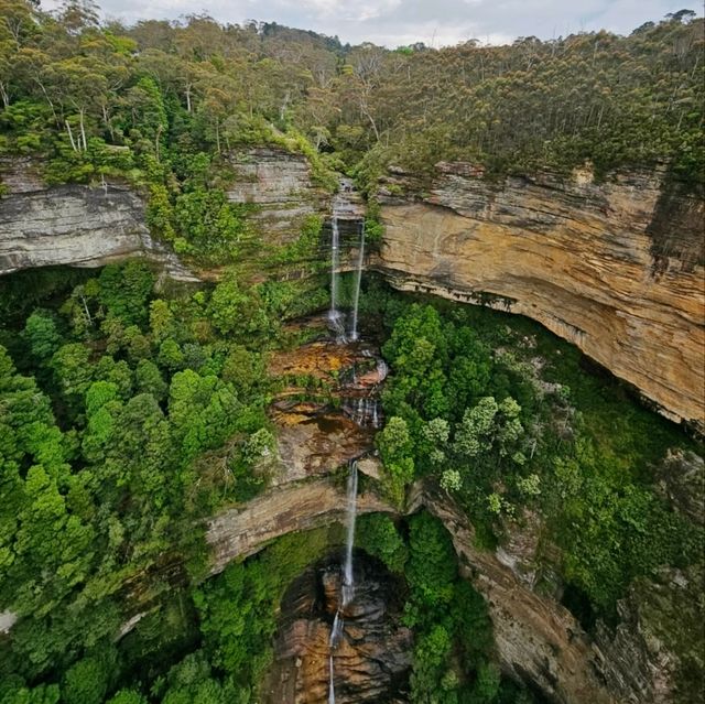 Thrilling Adventures at Scenic World Blue Mountains