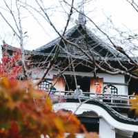 Inuyama Castle