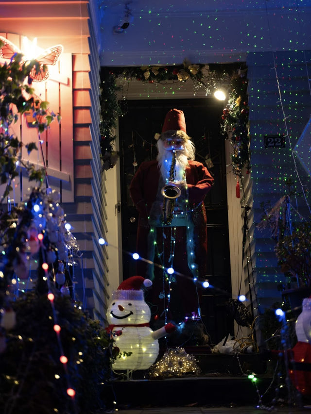 Franklin Road: Auckland’s Glittering Christmas Wonderland