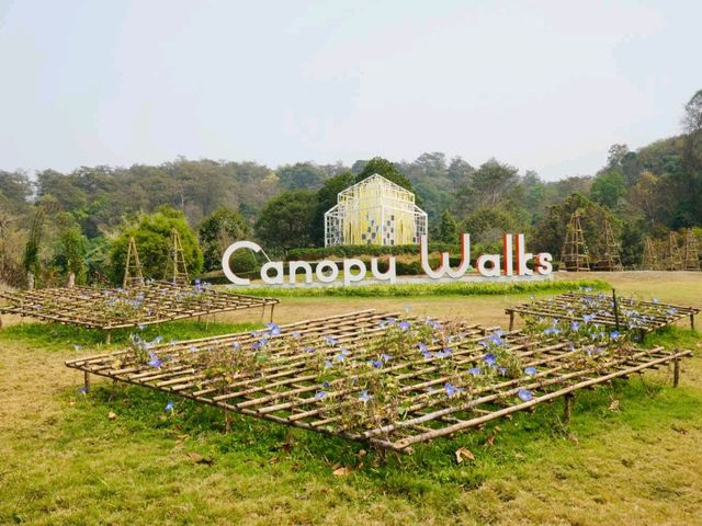 The Canopy Walks ทางเดินเหนือเรือนยอดไม้เชียงใหม่