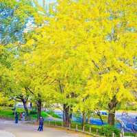 《探索福岡的綠洲——舞鶴公園之旅》