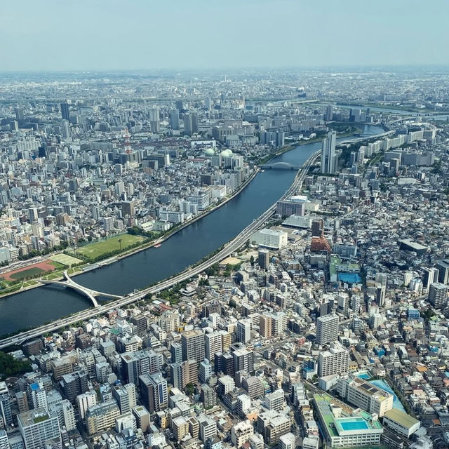 登高望遠：東京晴空塔的震撼視野