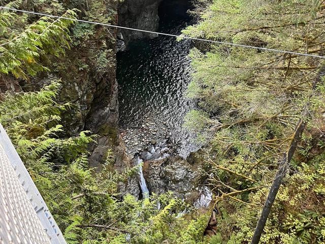 Lynn Canyon Suspension Bridge 🇨🇦