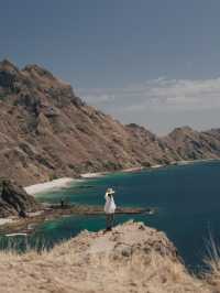  Dragons and Diving:Epic Adventure in Komodo