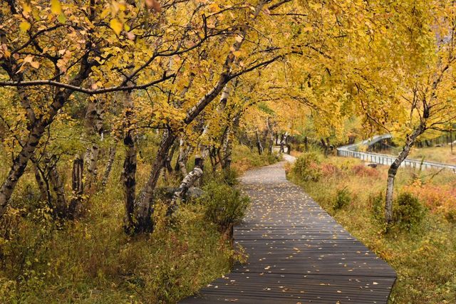 宛如油畫，呼和浩特市紅召九龍灣