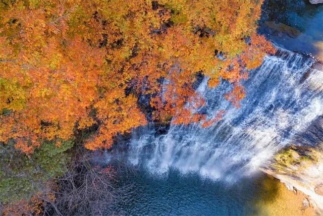 向南向北！西安周邊賞秋看紅葉目的地攻略！