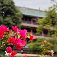 記住這裏❗️在廣州可以不花錢呆一天的公園