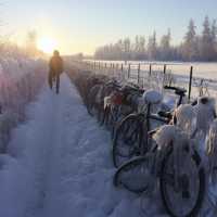 探秘芬蘭羅瓦涅米：極光、聖誕老人村與雪地奇遇。