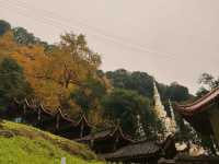 四川白岩寺|千年古剎。