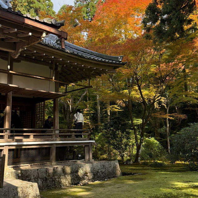 京都三千院：隱匿於山林間的寧靜聖地