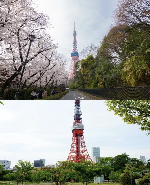 東京 | 這家景觀超讚的酒店美到哭！