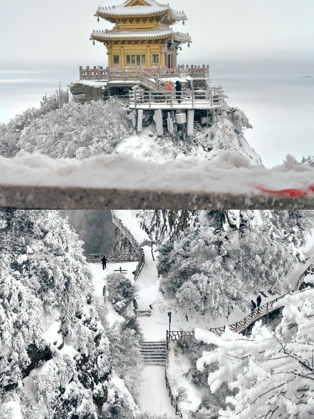 冬日雪後的老君山，遠赴一場人間驚鴻宴