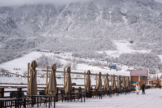 西嶺雪山滑雪指南大公開，滑雪新手也能變高手！