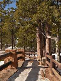 Bryce Canyon winter story❄️☃️🏔️🏜️