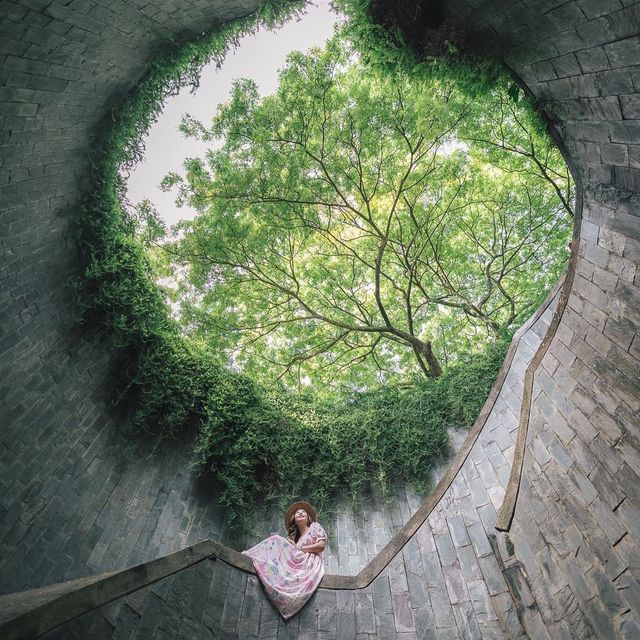 Fort Canning Park 🌿🇸🇬