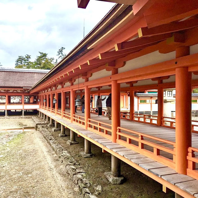 Mystical Serenity: exploring the floating Torii Gate! 🏯✨🌊