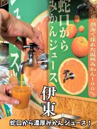 蛇口から濃厚みかんジュース！楽しすぎた😂🚰🍊