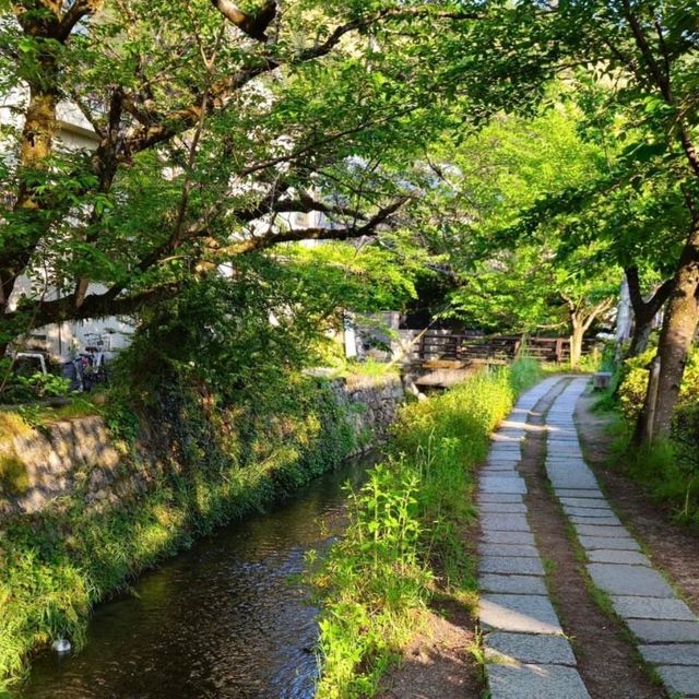 探索京都：一日文化與自然之旅