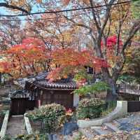 11中旬的首爾吉祥寺，令人平靜的寺廟