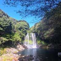 濟洲島柱狀節理帶🏞️天帝淵瀑布📸鳥島新緣橋🌁龍淵峽谷👣熱門打卡景點介紹👍