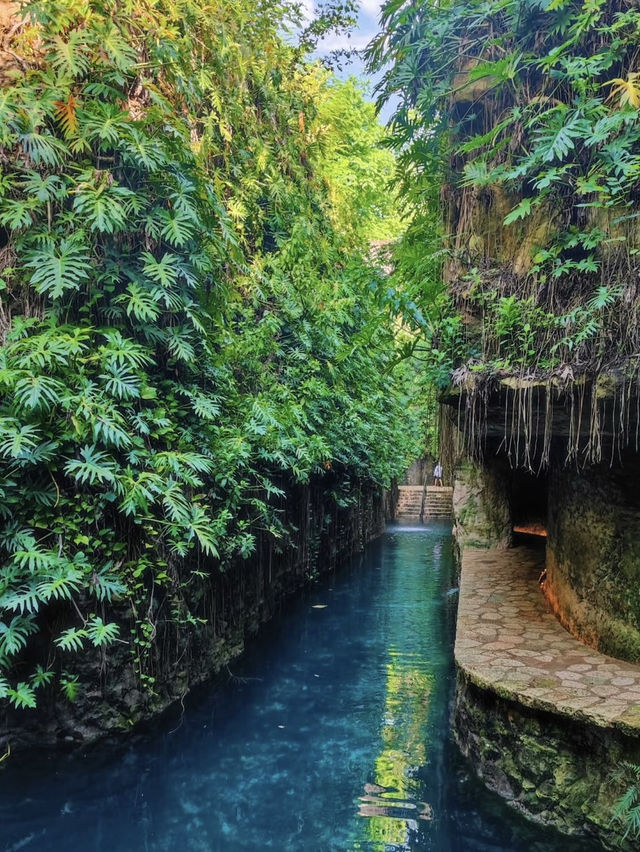 Dive Into Magic: Exploring the Enchanting Gran Cenote