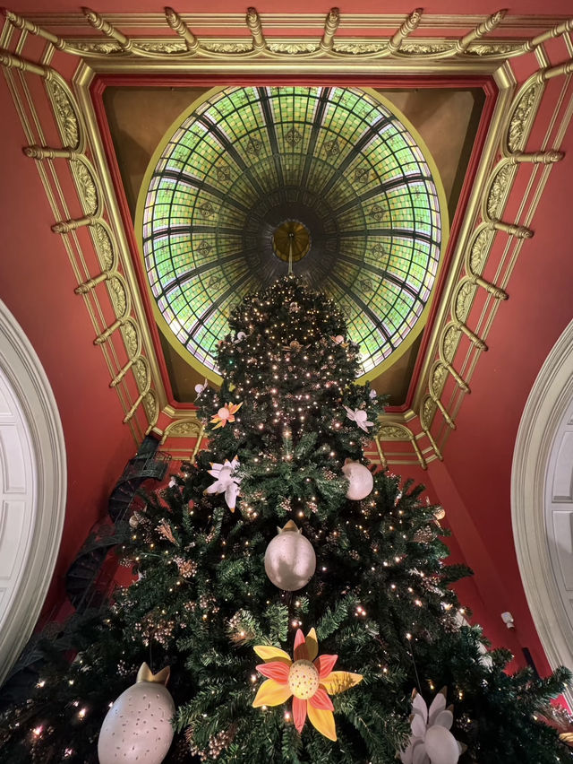 A Sparkling Christmas at QVB: Sydney’s Holiday Heartbeat