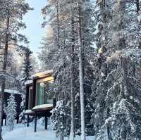 Lapland’s Hidden Gem: A Dreamlike Escape at Arctic TreeHouse Hotel