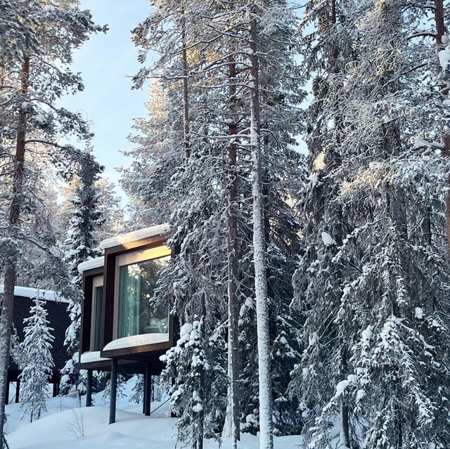 Lapland’s Hidden Gem: A Dreamlike Escape at Arctic TreeHouse Hotel