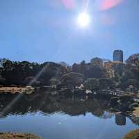 Shinjuku Gyoen National Garden (Tokyo)