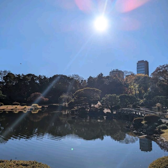 Shinjuku Gyoen National Garden (Tokyo)