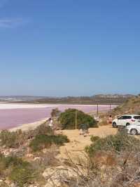 Pink Lake, Australia 