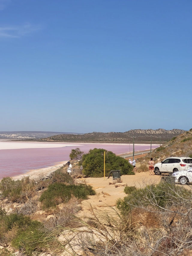 Pink Lake, Australia 